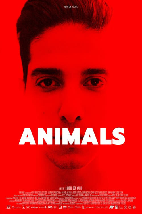 دانلود فیلم Animals – حیوانات